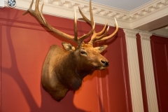 A744352Apr-03-2025 A744352Apr-03-2025