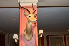 A744353Apr-03-2025 A744353Apr-03-2025