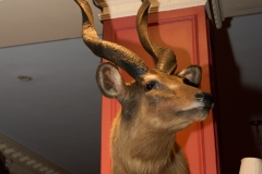 A744360Apr-03-2025 A744360Apr-03-2025